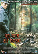 Un cos al Bosc