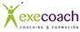 Execoach
