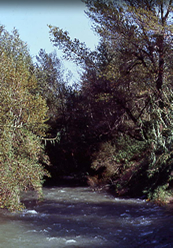 ARENA EN LOS BOLSILLOS