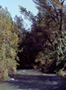 EL RÍO SEGURA